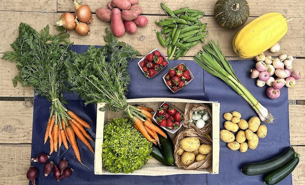 Un marché éphémère avec des légumes bio de saison, le 22 mai, à Plérin