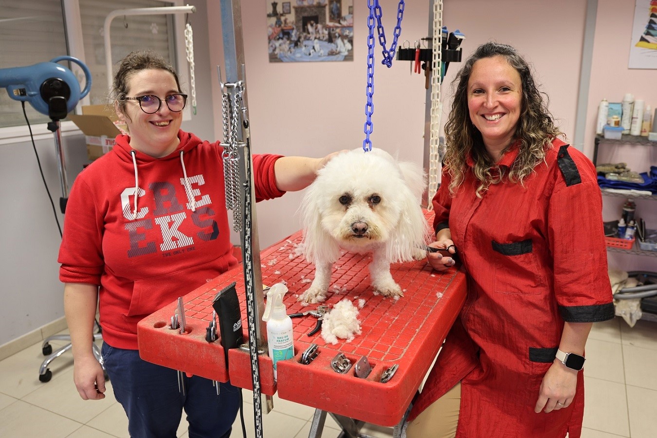 DUODAY. Une journée en immersion, à la découverte d’un métier